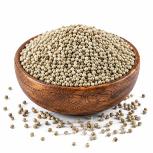 Pearl Millet (Bajra)